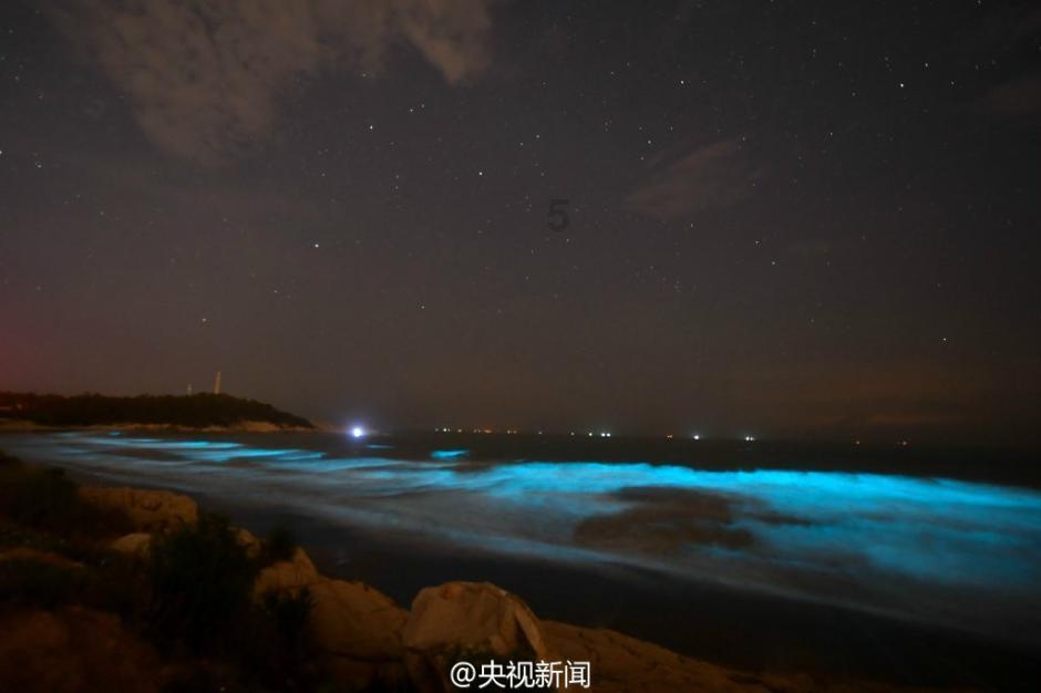 探寻你见过最可爱的纹身是怎样的?,知识星球平台